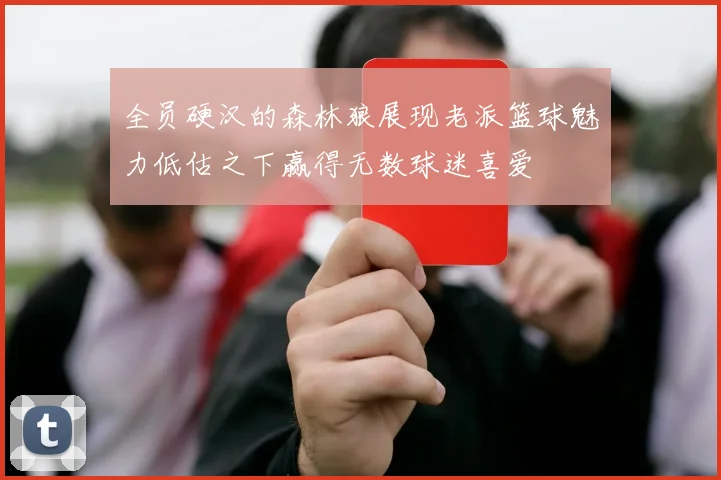 全员硬汉的森林狼展现老派篮球魅力低估之下赢得无数球迷喜爱