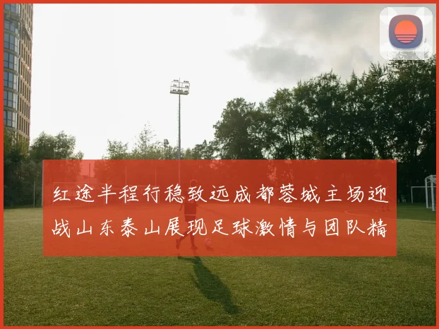 红途半程行稳致远成都蓉城主场迎战山东泰山展现足球激情与团队精神
